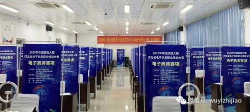 衡水市武邑職教中心教師在河北省電子信息服務(wù)業(yè)職業(yè)技能大賽中榮獲佳績(jī)，彰顯信息電子技術(shù)服務(wù)專業(yè)實(shí)力