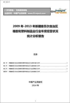 2009-2013年新疆維吾爾自治區(qū)橡膠和塑料制品業(yè)行業(yè)經(jīng)營狀況分析年報